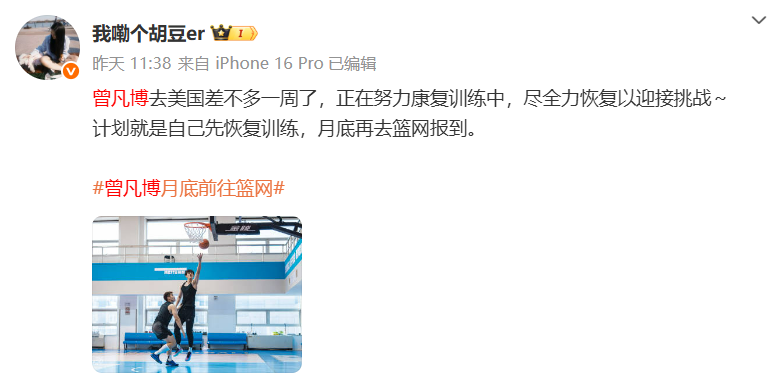 hAkAA, 预计曾凡博, ISYs