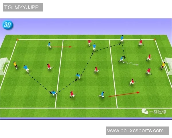 南昌球星足球俱乐部发展历程与青训体系建设探索研究