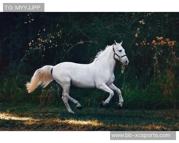 足球巨星挥洒画笔创作马儿画作展现艺术与运动的完美融合